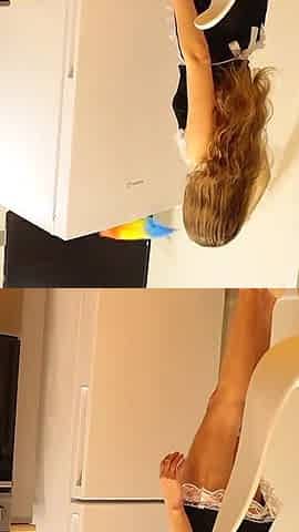 Hot Sexy Maid Cleaning the Kitchen.