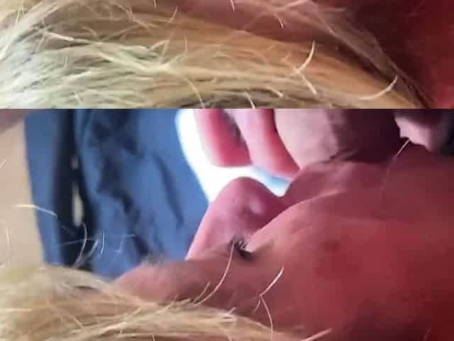 Mature Blondes Suck and Stroke Big Cocks for Facial