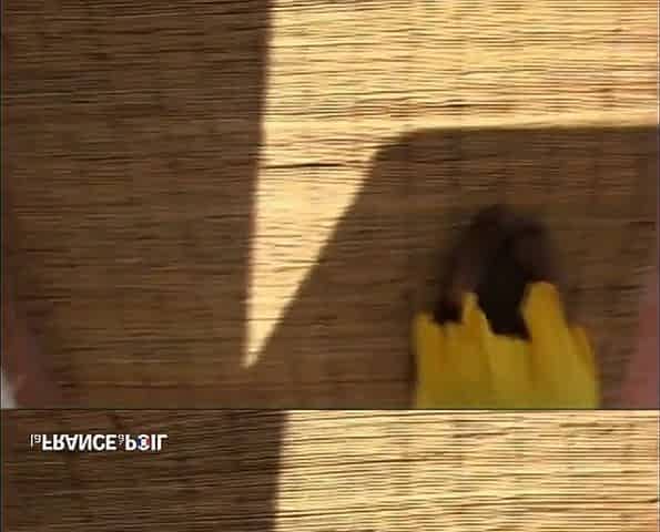 Sexy Black Slut Loves Cock and Pussy