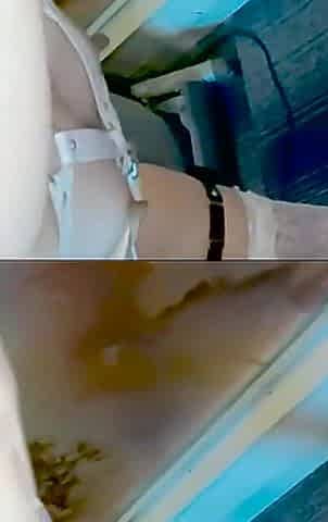 Mayu No.86 Convulsions, Rolling Eyes, Anal Licking, Nipple Piercing, Screaming, Anal Vibrator, Squirting, Creampie