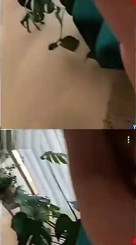 Sex Syrian