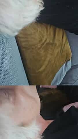 He Fucks My Pussy Hard and Spits All His Cum on My Face