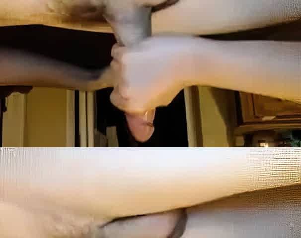 Amateur Webcam Couple Blowjob