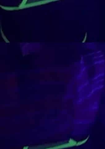 Twerking Perfect Body Short Skirt Neon Lingerie Close up MILF Hot Private