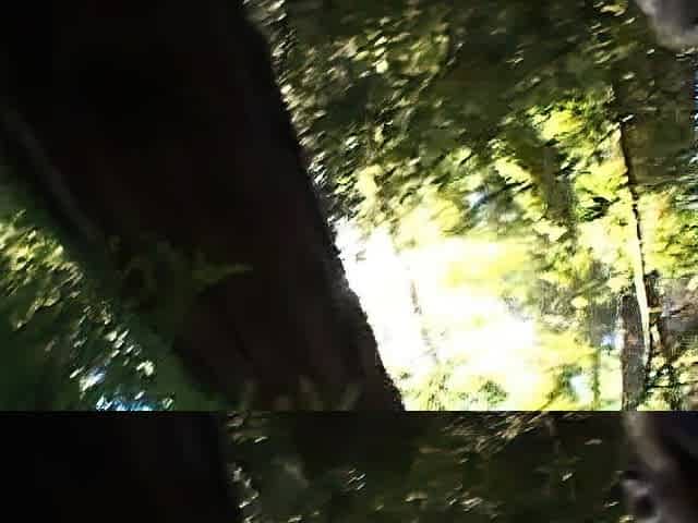 Solo masturbation of a beautiful amateur blonde