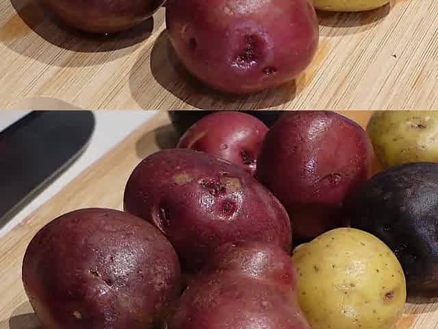 Jenna Starr Cooks Meat and Potatoes Story Time