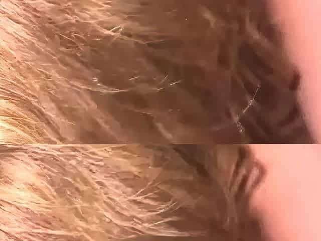Haleymihm Riding Cock And Doggy Sextape Onlyfans Video