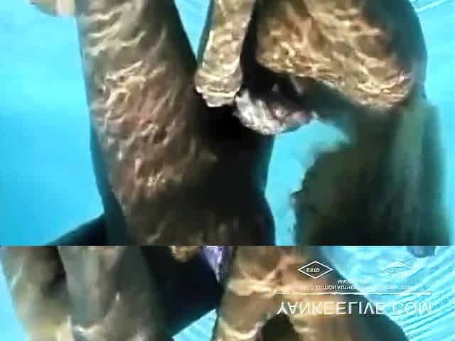 Blonde Amateur Blowjob Underwater