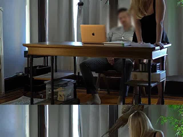 Caught screwing secretary on desk at work