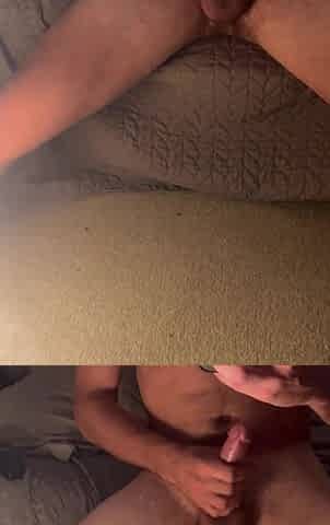 British White Rod begging to be ridden Hard