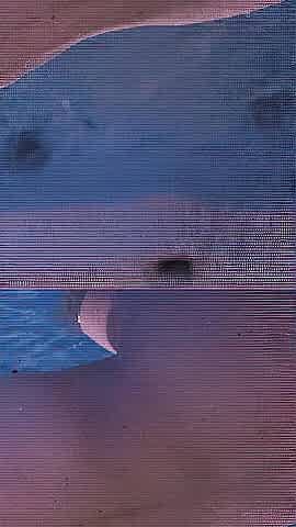 Compilation 2024 FISCHANDCHIP & Luiza conlaz