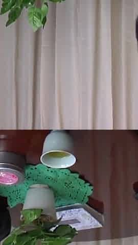 Cuckolded and Unfaithful - the Story of a Married Woman - 2