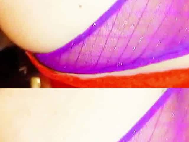Hot Mature Big-bootied Woman Riding