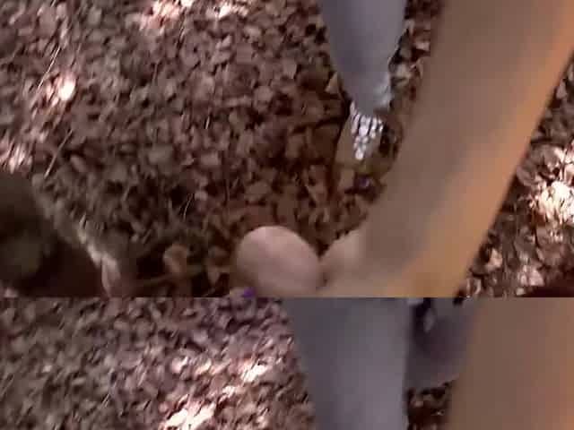 Lovers Sex In Forest Video By