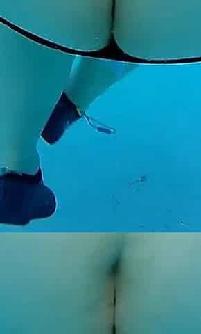 Wet Wild Fun in the Sun Full Video
