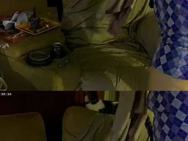 Real Upskirt Panty Tease