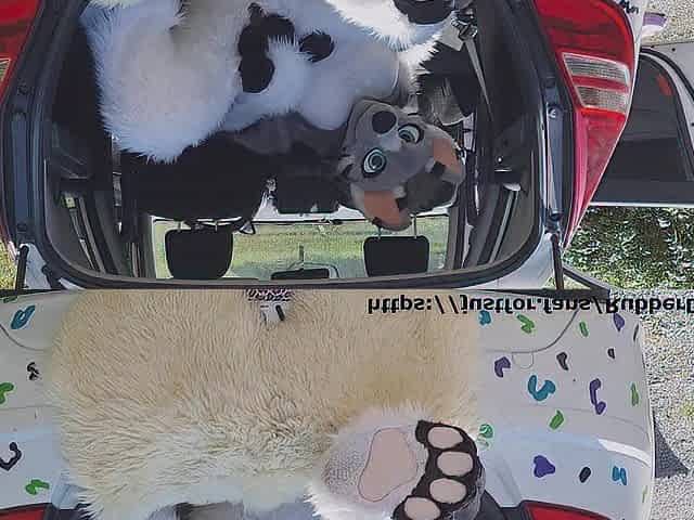 Fluffy car with pleasure