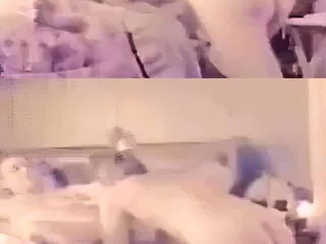 Girl's Amateur Threesome