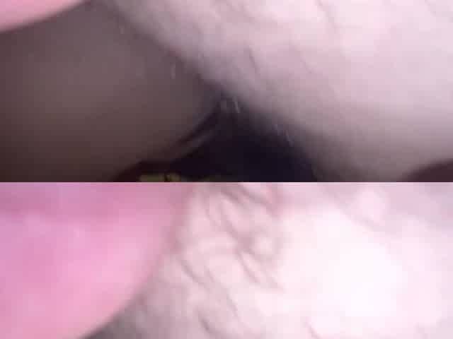 Booty to Butt - Toy pleasure