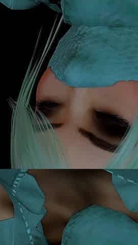 Nylon Shinobi - Trial of Endurance