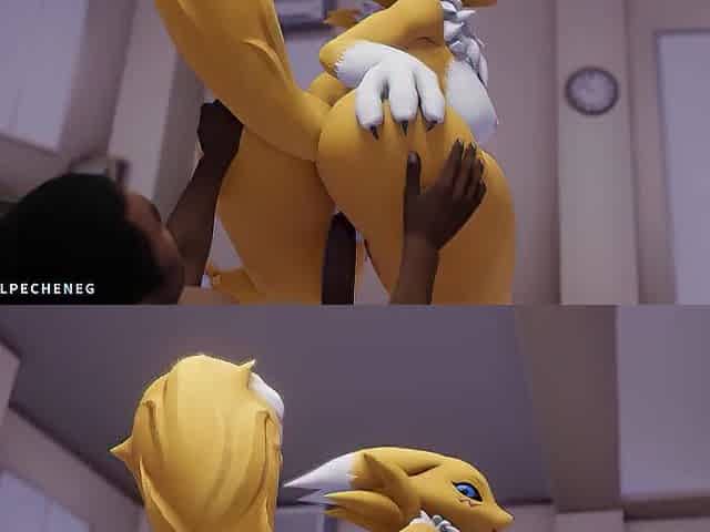 Renamon Fur Compilation: Volume 1