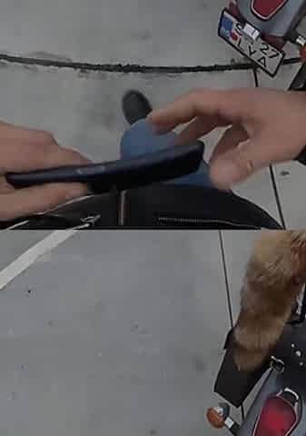 Black Anamary Fucked by Stripper