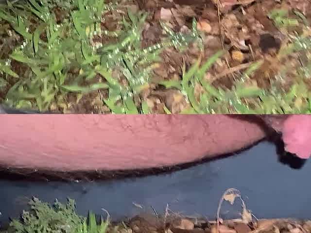 I love pissing