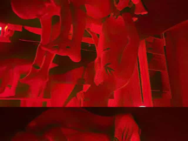Carnal Sex Poses