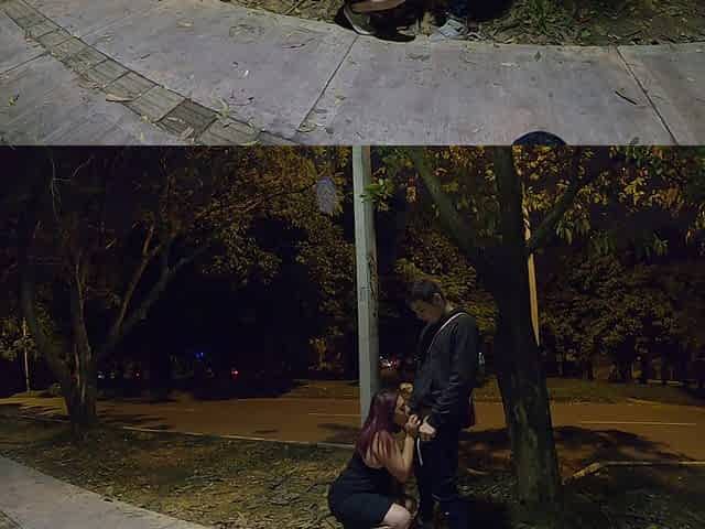 Mature Sucks My Cock in the Park