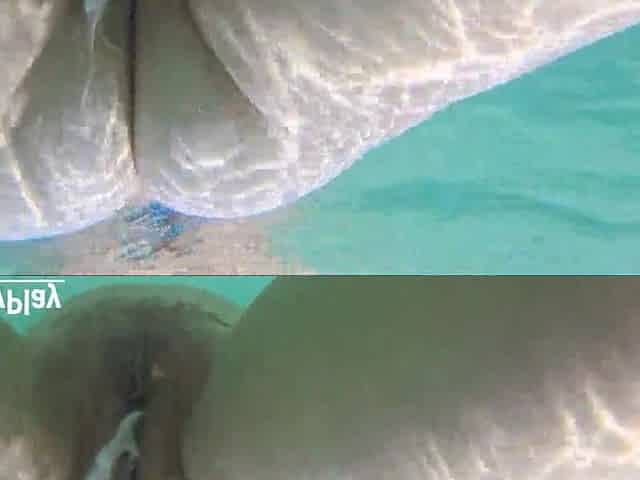 Creampie underwater, cum dump swimming after beach fuckfest