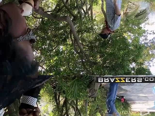 Thicc black mother i'd like to fuck (Vanessa Blue) screws the aid - BRAZZERS