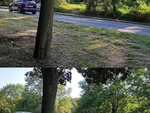 Risky Public Sex with my Nasty Neighbor in the Local Park