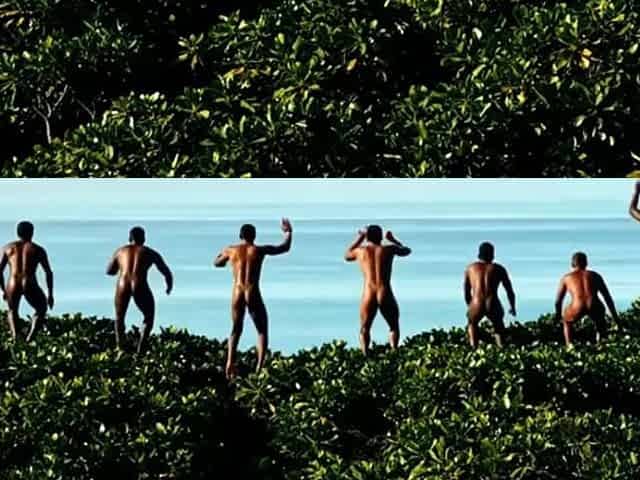 LOST IN THE JUNGLE - INTERRACIAL