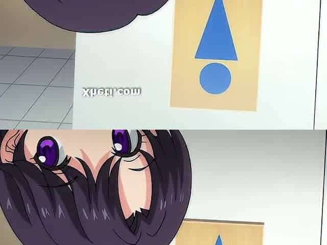Manga Anime, Animation porn