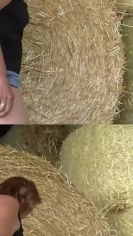 Blonde milf fucking on the farm