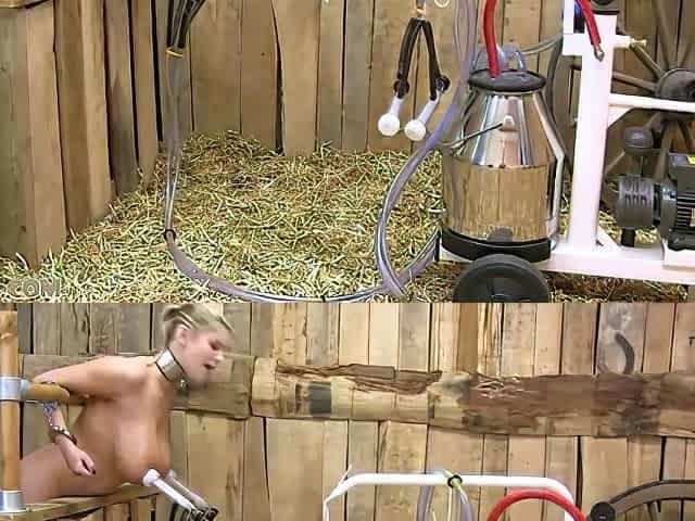 Hucow Getting Milked