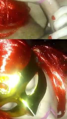 Blowjob and double cum in mouth