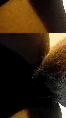 Black chick craves a white rod
