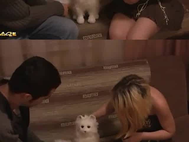 Polish porn movie scenes - Precious morning, this is the animal emergency service