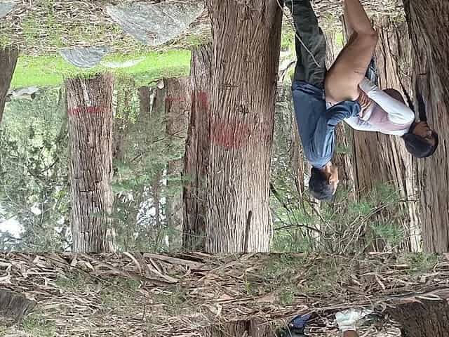 I Fuck a Beautiful Schoolgirl in Her Uniform in the Forest