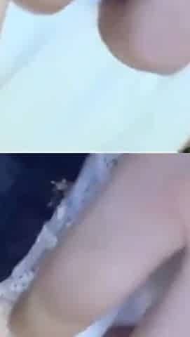 Asian Angel 28128