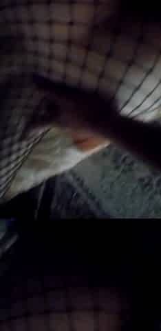 Amateur Cum in Mouth, Internal Compilation, Best Mod Worker
