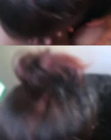 Devilishy horny wife only wants to cuckold her husband with her videos.