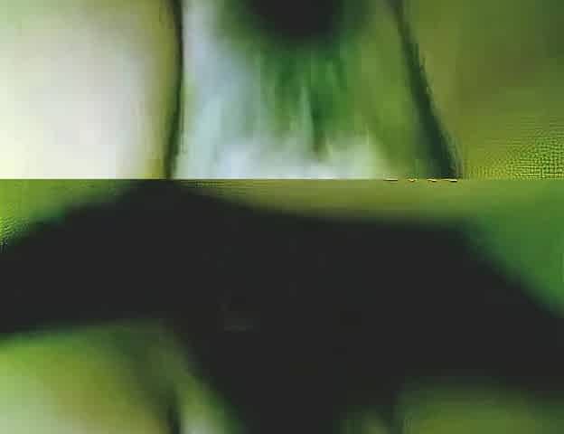 Asian Couple's Public Indiscretion