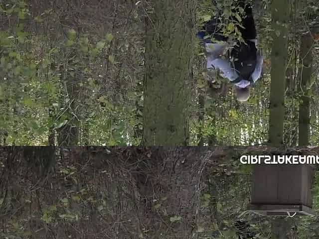 Old Man Has Found Instead Of A Mushroom With Ela Nek