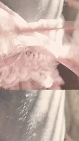 Anuskatzz Masturbate with Dildo My Anal Hole - Solo Tattoo Female