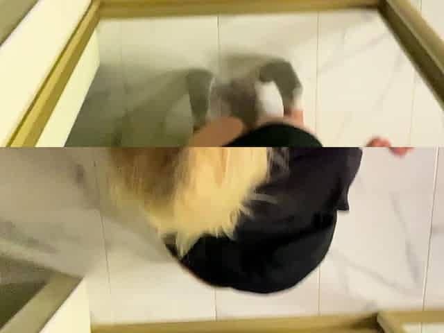 Blonde Babe Moans Loud While Getting Her Pussy Banged Hard