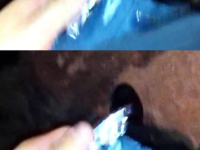 Hardcore ffm blowjob and doing handjob