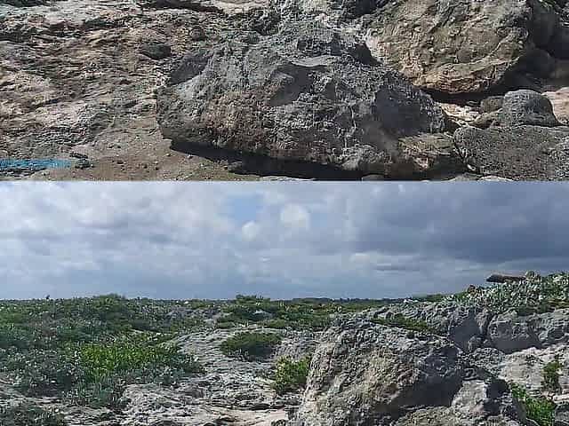 Risky masturbation on a beach, my tits are shaking hawt