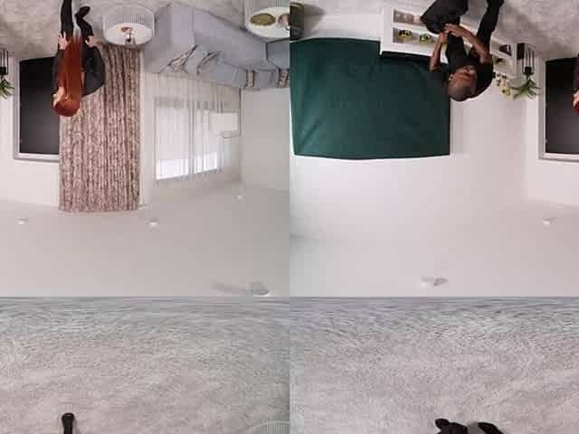 Don't Get Caught in a Stranger's Abode - VR